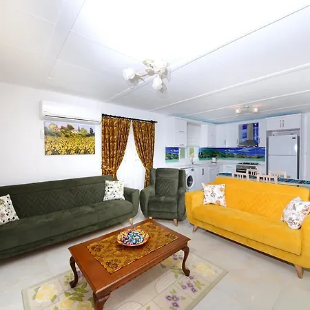 Tamer Villa *